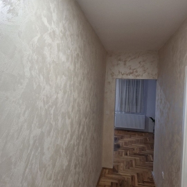 Adaptacije-Novi Sad, Novi Sad