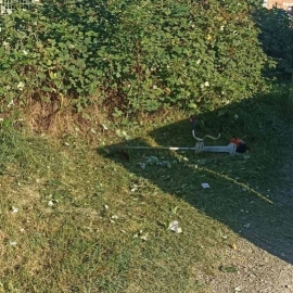 Freziranje, Obrenovac