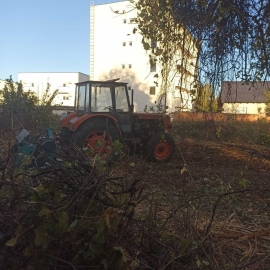 Freziranje, Obrenovac