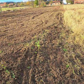 Usluzno freziranje i uredjenje dvorista, Barajevo