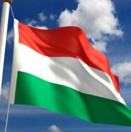 Online i uživo časovi mađarskog jezika, Novi Sad