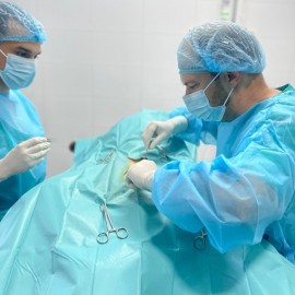 Dezurni veterinar Novi Sad 00-24h, Novi Sad