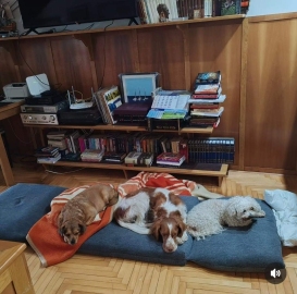 Hotel i vrtić za pse "Boni", Pančevo